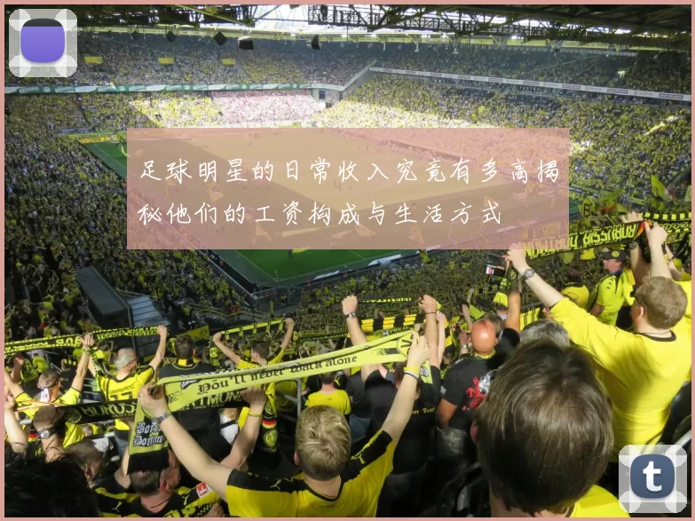 足球明星的日常收入究竟有多高揭秘他们的工资构成与生活方式