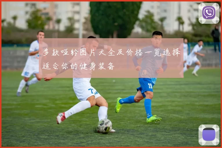 多款哑铃图片大全及价格一览选择适合你的健身装备